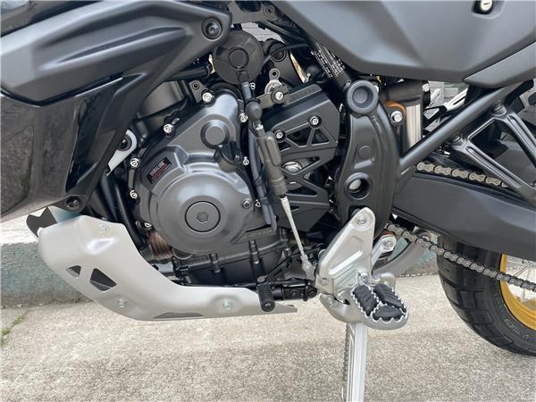 2026 Yamaha Tenere 700 World Raid