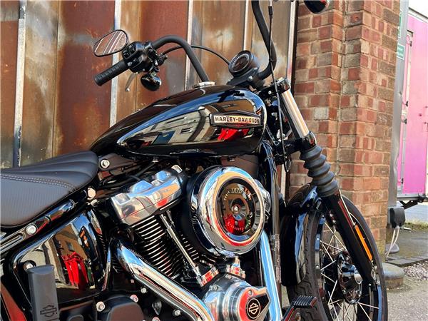 2025 Harley-Davidson Softail