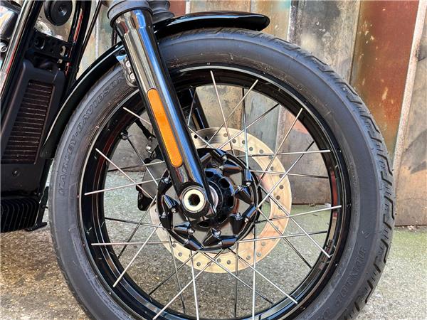 2025 Harley-Davidson Softail