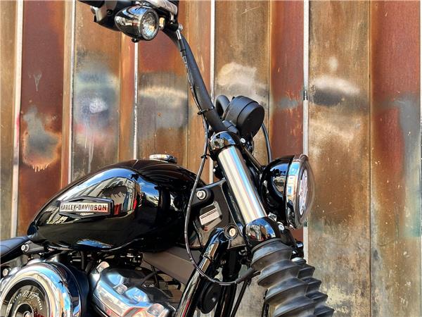 2025 Harley-Davidson Softail