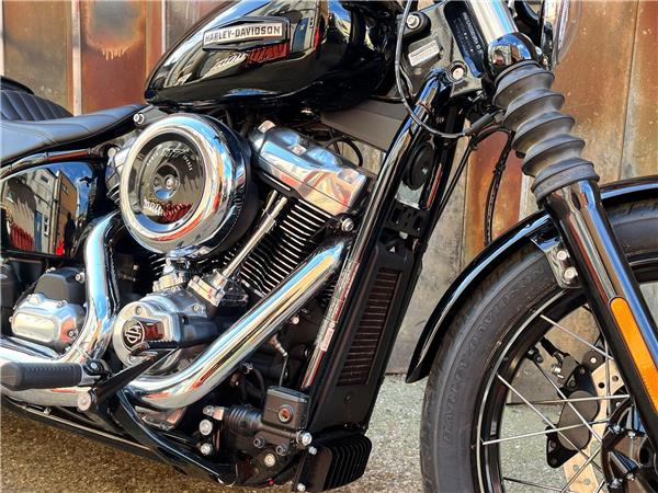 2025 Harley-Davidson Softail