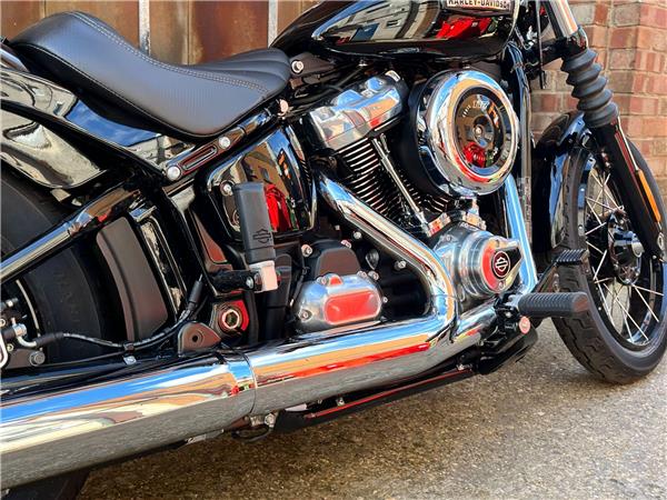 2025 Harley-Davidson Softail