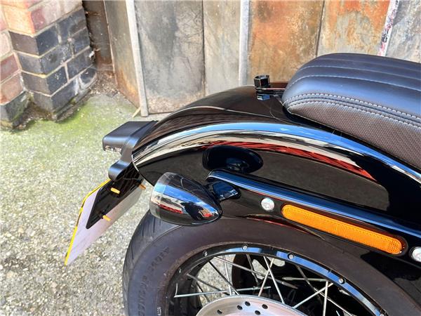 2025 Harley-Davidson Softail