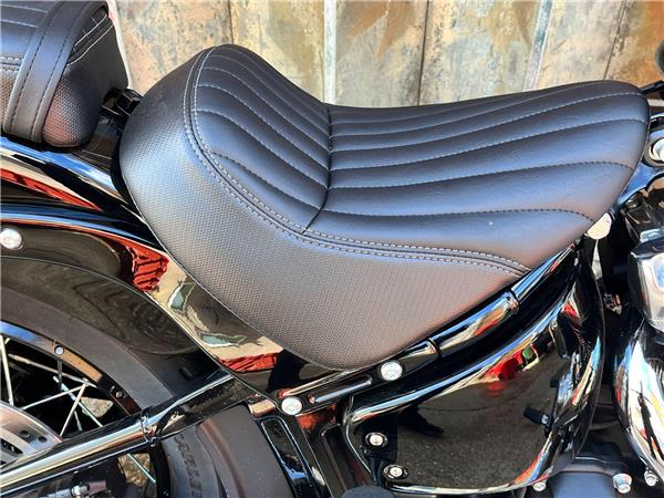 2025 Harley-Davidson Softail