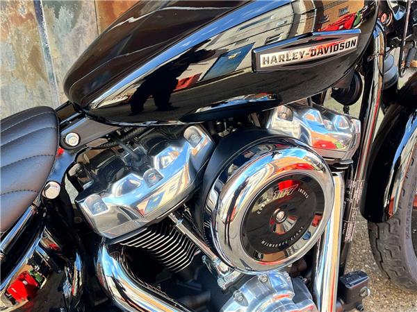 2025 Harley-Davidson Softail