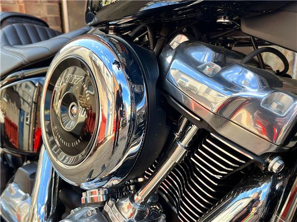 2025 Harley-Davidson Softail