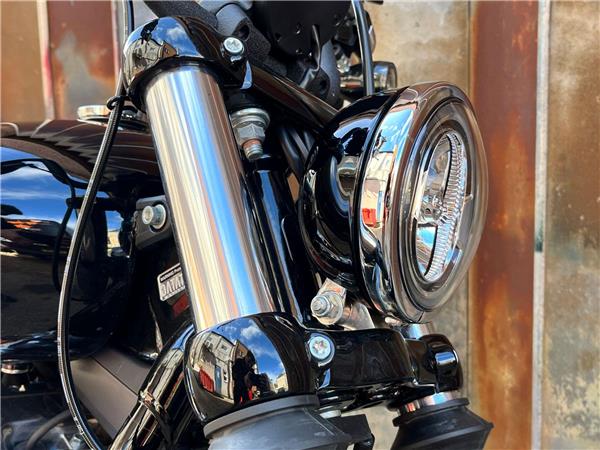 2025 Harley-Davidson Softail