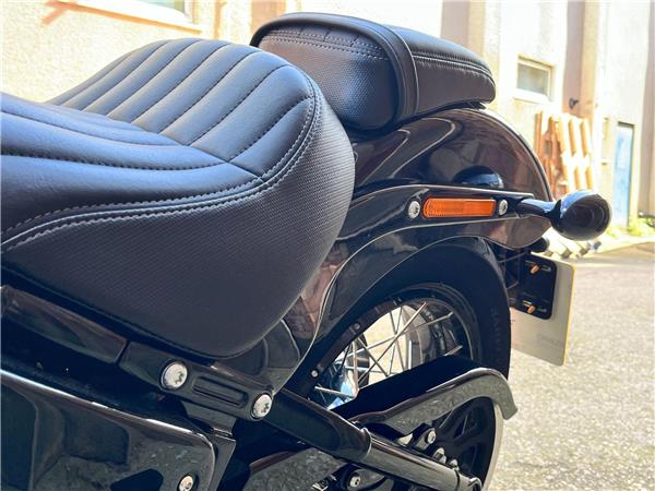 2025 Harley-Davidson Softail