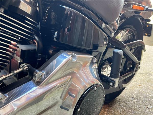 2025 Harley-Davidson Softail