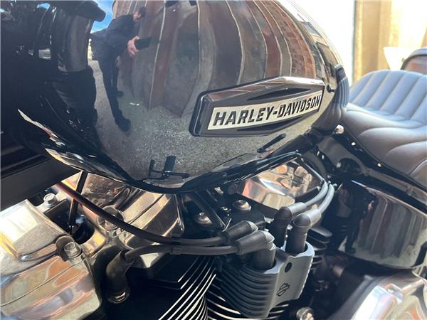 2025 Harley-Davidson Softail