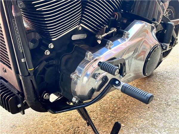 2025 Harley-Davidson Softail