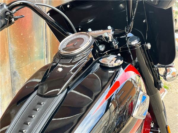 2025 Harley-Davidson Softail