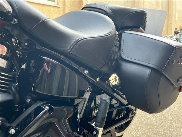 2025 Harley-Davidson Softail
