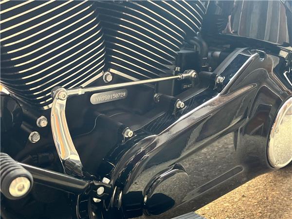2025 Harley-Davidson Softail