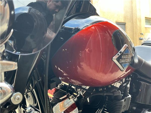 2025 Harley-Davidson Softail