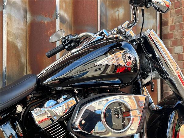 2025 Harley-Davidson Softail