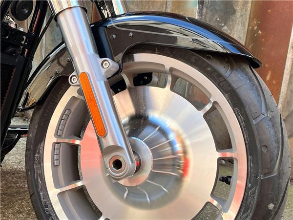 2025 Harley-Davidson Softail