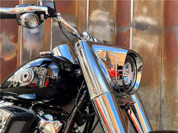 2025 Harley-Davidson Softail
