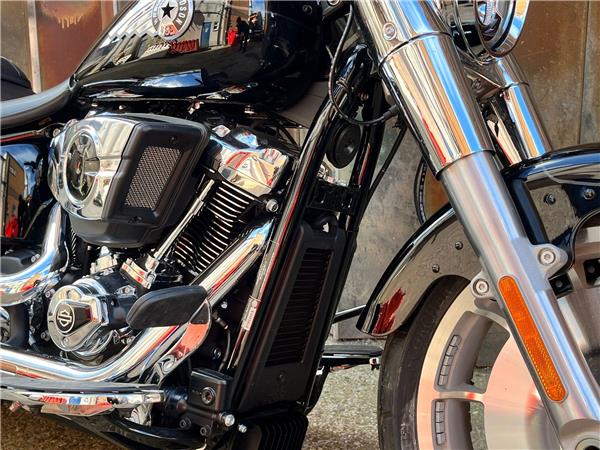 2025 Harley-Davidson Softail