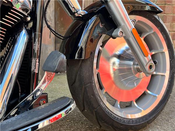 2025 Harley-Davidson Softail