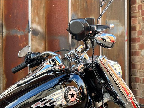 2025 Harley-Davidson Softail