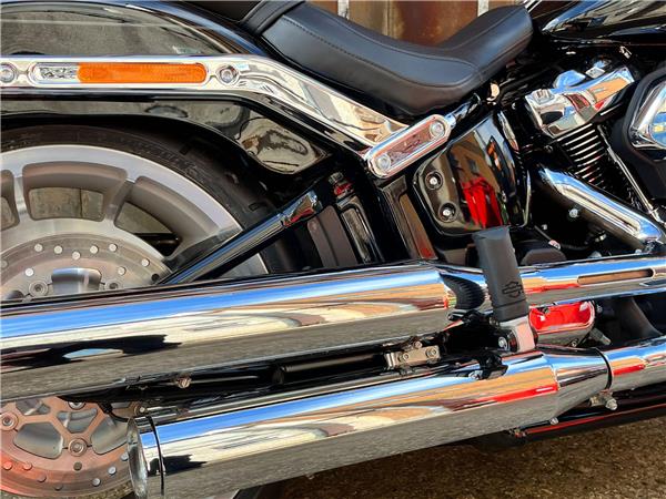2025 Harley-Davidson Softail