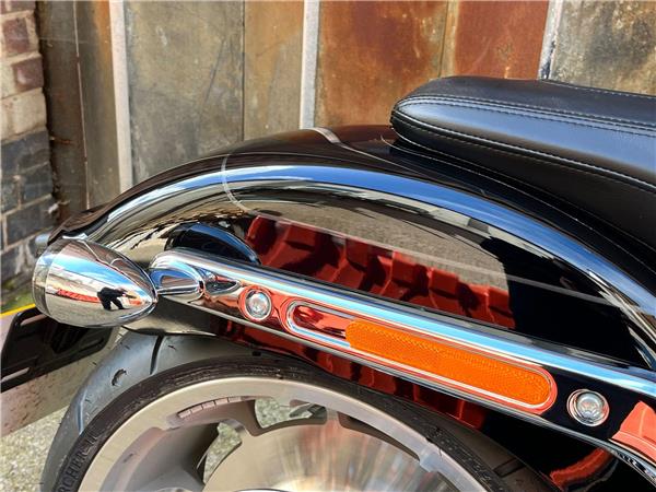 2025 Harley-Davidson Softail