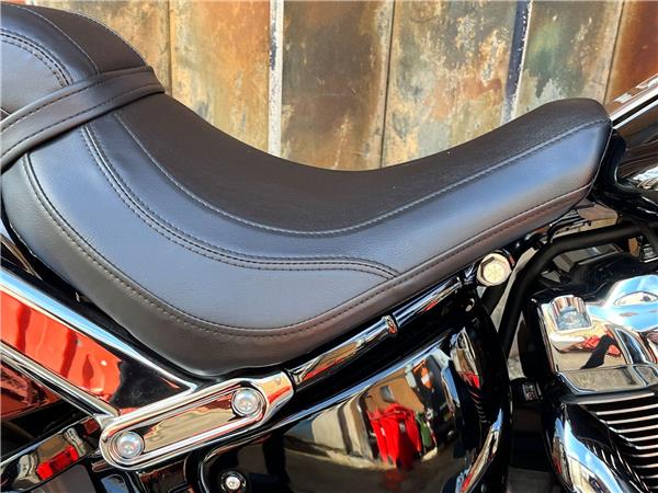 2025 Harley-Davidson Softail