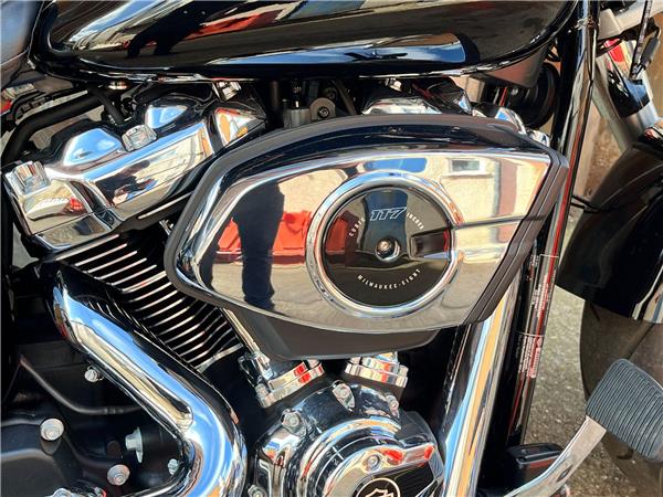 2025 Harley-Davidson Softail