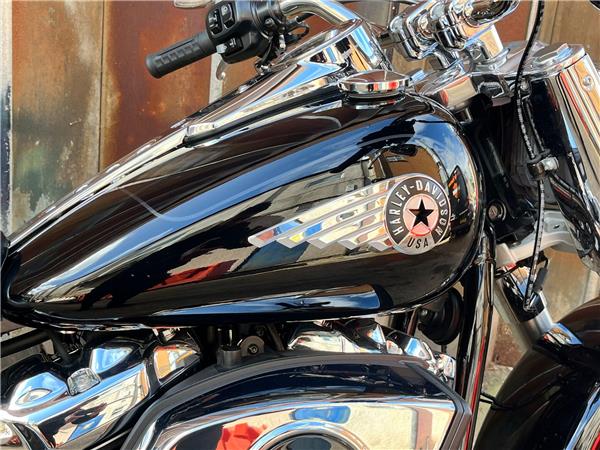 2025 Harley-Davidson Softail
