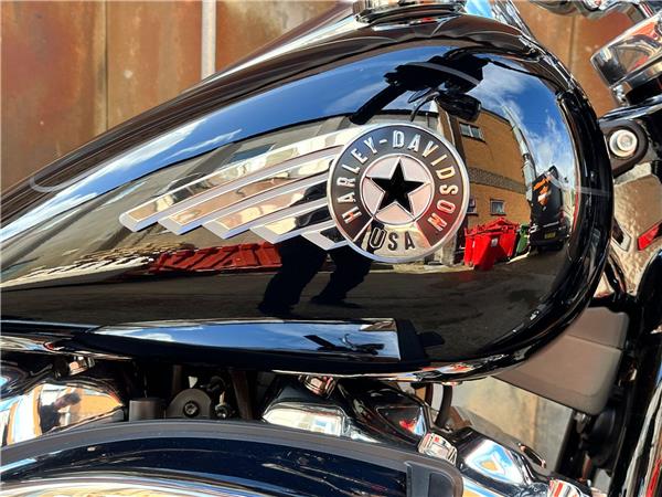 2025 Harley-Davidson Softail