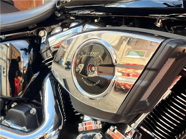 2025 Harley-Davidson Softail