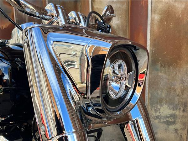 2025 Harley-Davidson Softail