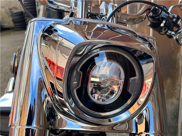 2025 Harley-Davidson Softail