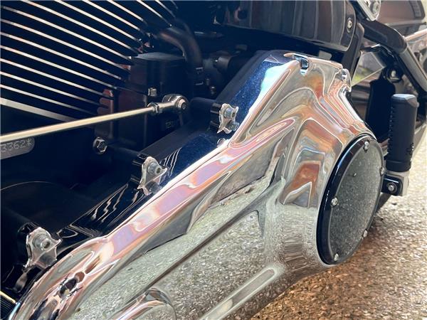 2025 Harley-Davidson Softail