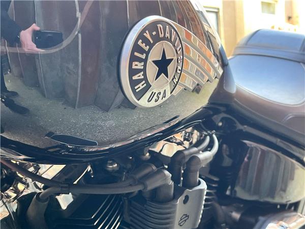 2025 Harley-Davidson Softail