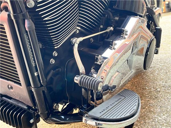 2025 Harley-Davidson Softail
