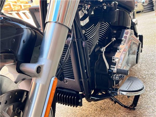 2025 Harley-Davidson Softail