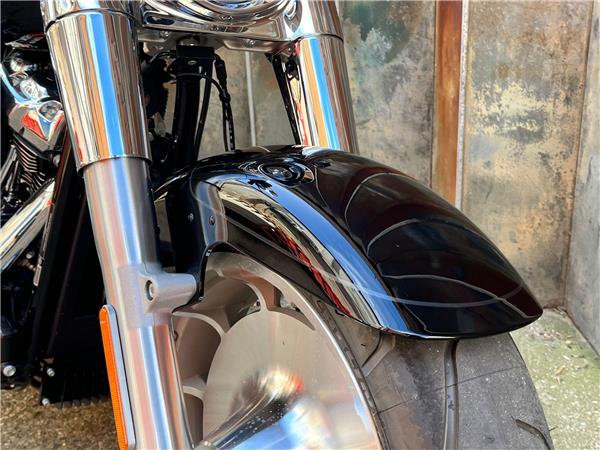 2025 Harley-Davidson Softail