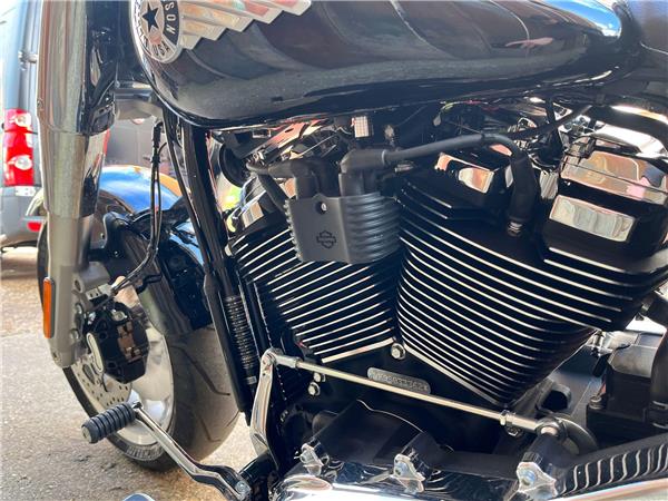 2025 Harley-Davidson Softail