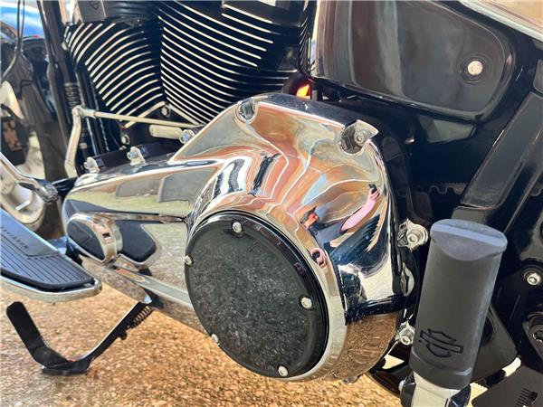 2025 Harley-Davidson Softail