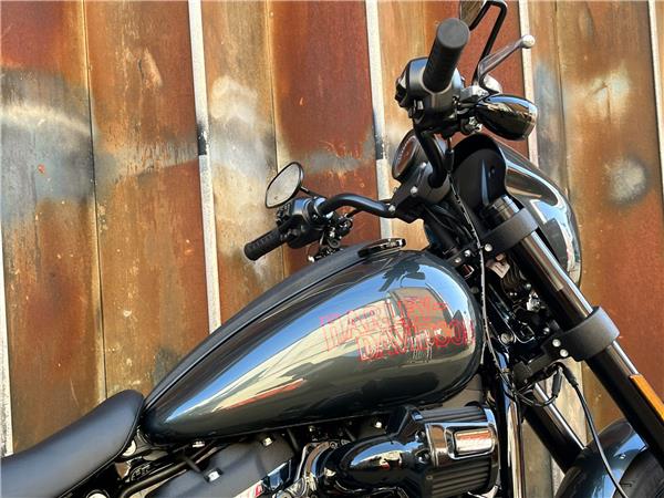 2025 Harley-Davidson Softail