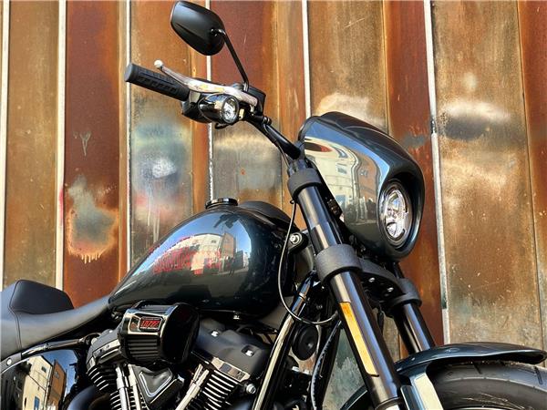 2025 Harley-Davidson Softail