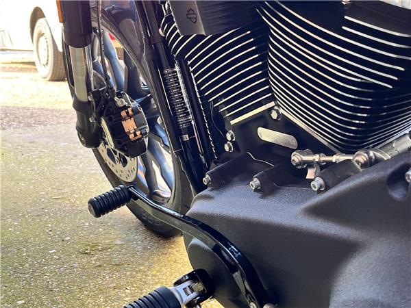 2025 Harley-Davidson Softail