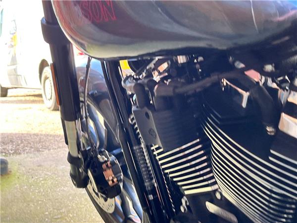 2025 Harley-Davidson Softail
