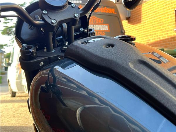2025 Harley-Davidson Softail