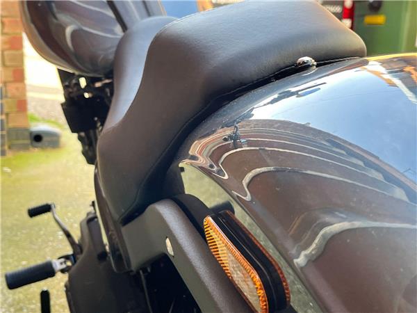 2025 Harley-Davidson Softail