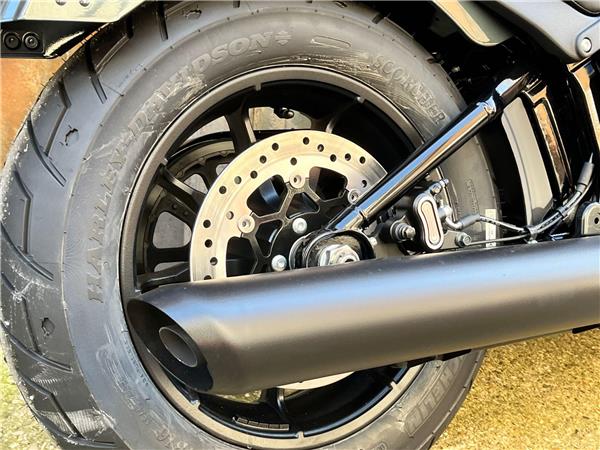 2025 Harley-Davidson Softail