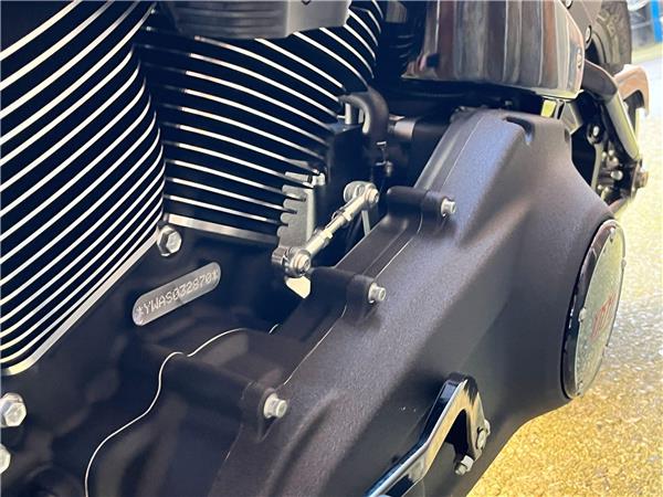 2025 Harley-Davidson Softail