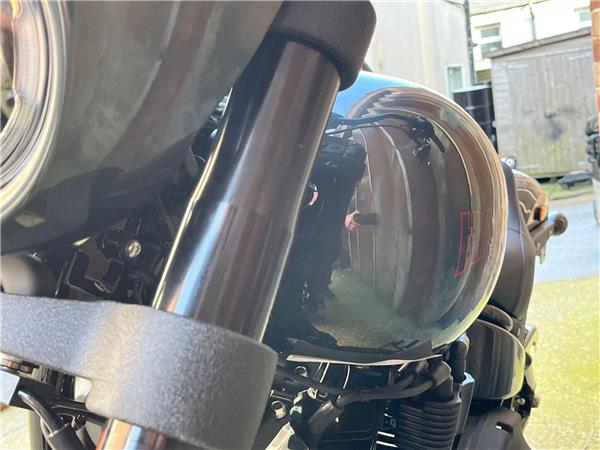 2025 Harley-Davidson Softail